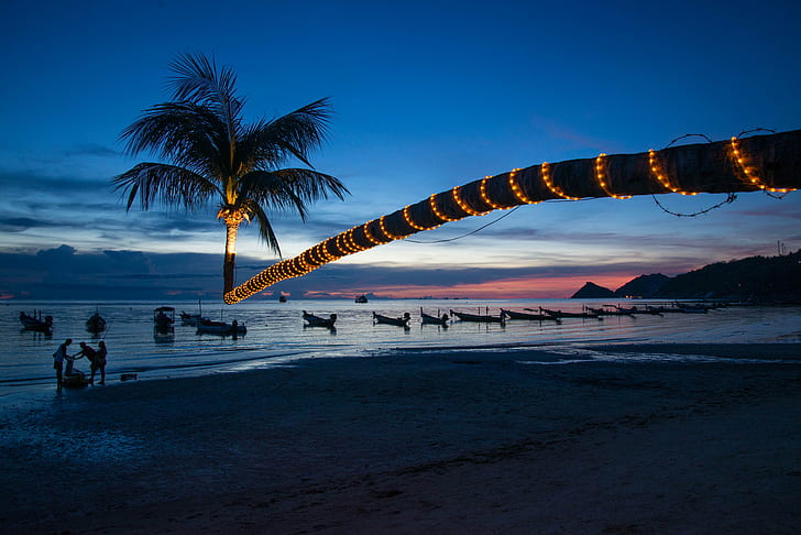 photo of palm tree with string light near ocean at night, Unconventional, nature, photo, palm tree, string, light, at night, sunset  beach, sea, ocean  water, sand, fishermen, people, boats, purple, lights, plant, island, koh tao, thailand, southeast asia, travel, pink, landscape, outdoor, shore, seaside, beach, sunset, vacations, HD wallpaper