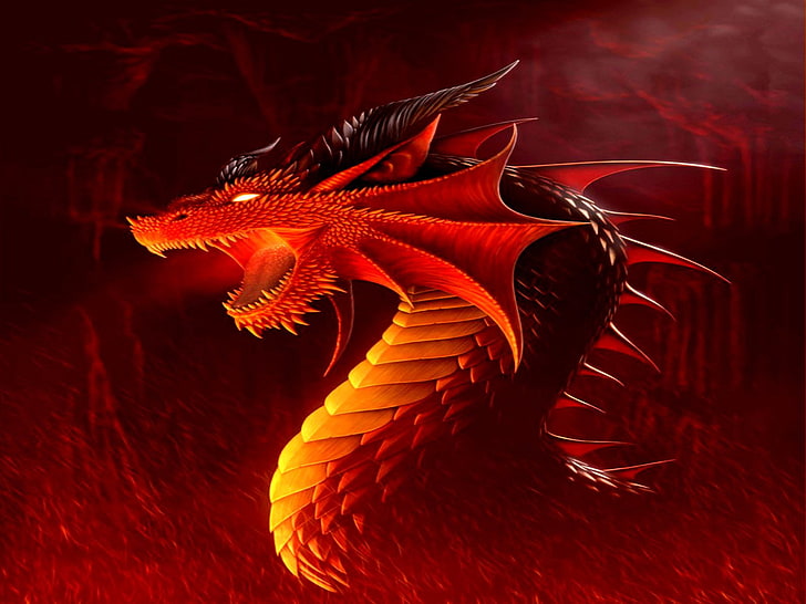 animated dragon wallpaper, Fantasy, Dragon, HD wallpaper