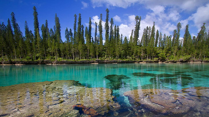 Stilla havet, Nya Kaledonien, öar av tallar, HD tapet