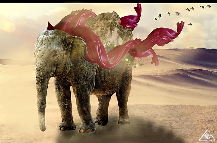 gajah, Wallpaper HD