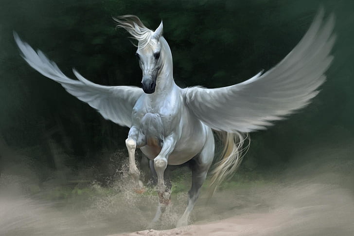 Pegasus, Horse, Wings, HD wallpaper