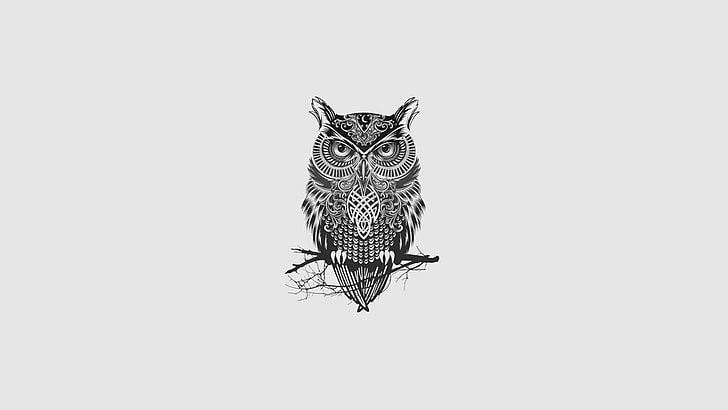 owl illustration, minimalism, tattoo, monochrome, owl, HD wallpaper