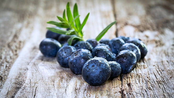 Blueberry, Fresh, Closeup, Fruit, Food, blueberry, fresh, closeup, fruit, food, HD wallpaper
