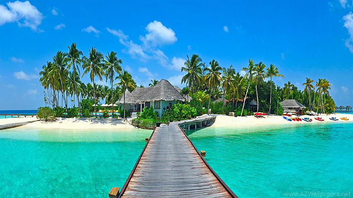 Resort Kandooma Kang Duma Tropical Island Maldives Sandy Beach Palm Trees Bungalows Pool Summer Hd Wallpaper 3840 × 2160, Sfondo HD
