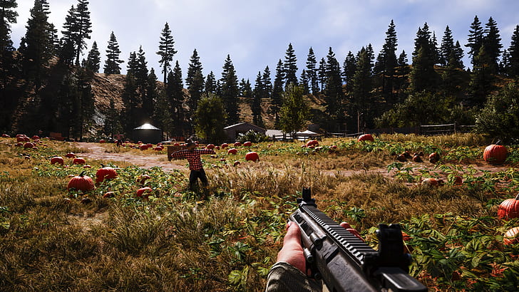 оружие, игра, Far Cry 5, HD обои