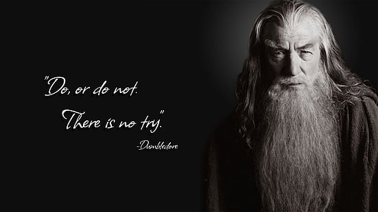 do, or do not. there is no try text illustration, Gandalf, parody, Harry Potter, humor, quote, Yoda, Ian McKellen, HD wallpaper HD wallpaper