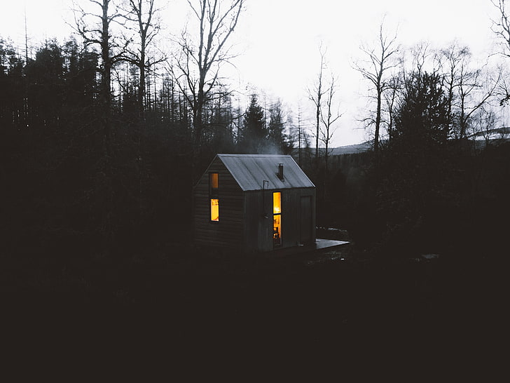 오두막, 숲, 집, HD 배경 화면