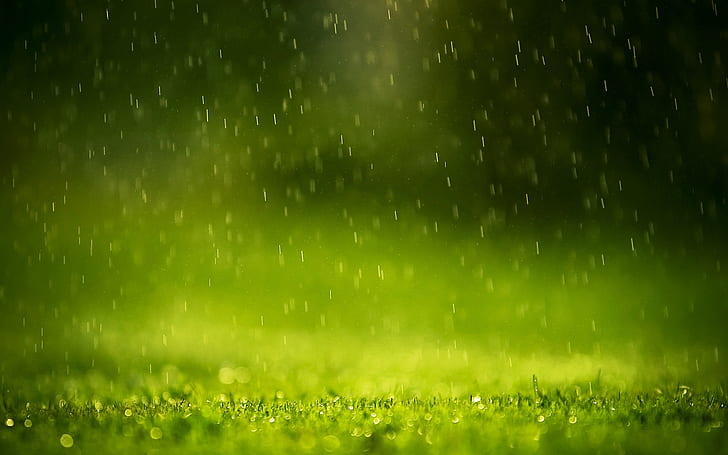 Regentropfen, Regen, Tropfen, HD-Hintergrundbild