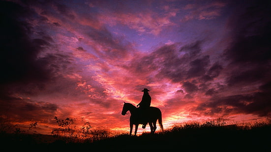 Fotografi, cowboy, häst, rosa, lila, siluett, himmel, solnedgång, HD tapet HD wallpaper
