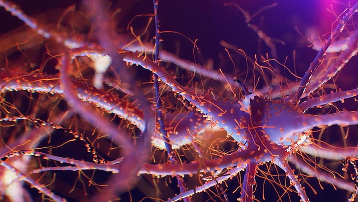 neuron, medizin, mikrowelt, zumachen, abbildung, menschlich, virus, anatomie, mikro, HD-Hintergrundbild