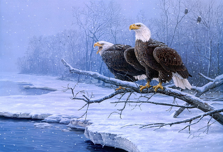 ilustrasi dua elang botak, dingin, musim dingin, salju, burung, sungai, embun beku, lukisan, elang, Darrell Bush, Tempat Berkumpul, elang botak, Wallpaper HD