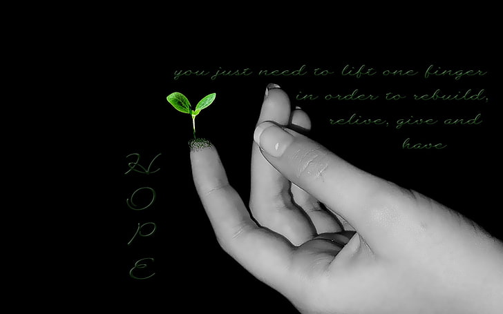 hand hope Hope.. Abstract 3D and CG HD Art , hand, hope, roots, new begining, new life, seedling, HD wallpaper