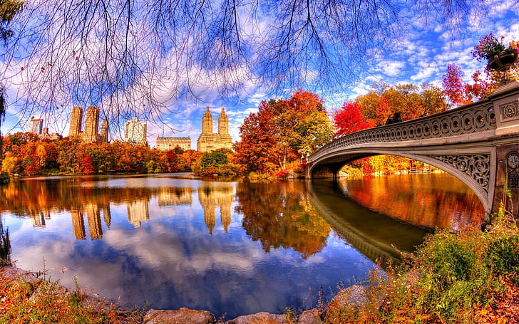 Autumn, nature, park, trees, water, bridge, reflection, Central Park, gray bridge hd wallpaper, Autumn, Nature, Park, Trees, Water, Bridge, Reflection, Central, HD wallpaper
