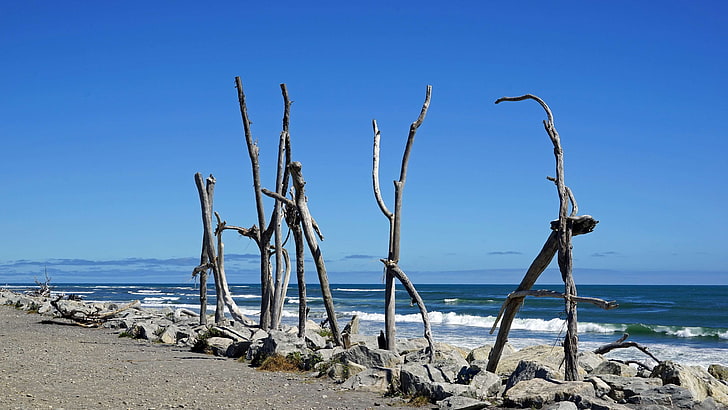 الشاطئ ، الساحل ، الخشب الانجراف ، شاطئ هوكيتيكا ، نيوزيلندا ، البحر ، الجزيرة الجنوبية ، الخشب، خلفية HD