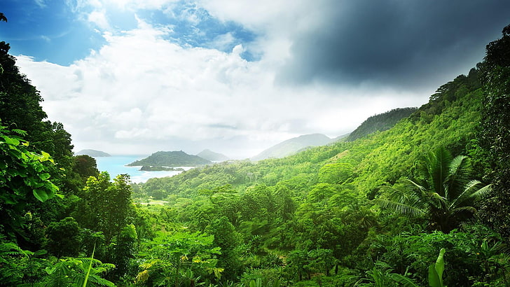 vegetasi, alam, hijau, hutan hujan, awan, langit, pemandangan gunung, ekosistem, hutan, bentang alam pegunungan, hutan, pohon, praslin, seychelles, afrika, samudera Hindia, Wallpaper HD