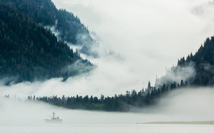 velero cerca del bosque de niebla, fotografía, paisaje, naturaleza, montañas, niebla, bosque, lago, barco, isla, Parque Nacional Banff, Canadá, Fondo de pantalla HD