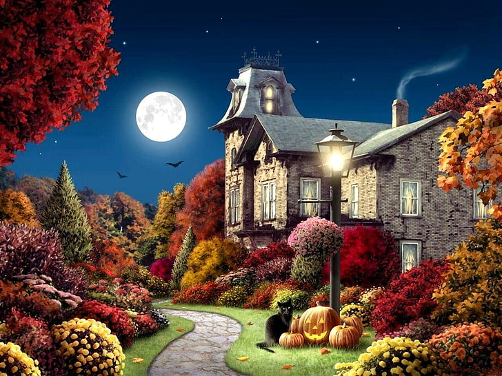 pumpkins, moon, bats, flowers, Autumn, cat, night, HD wallpaper