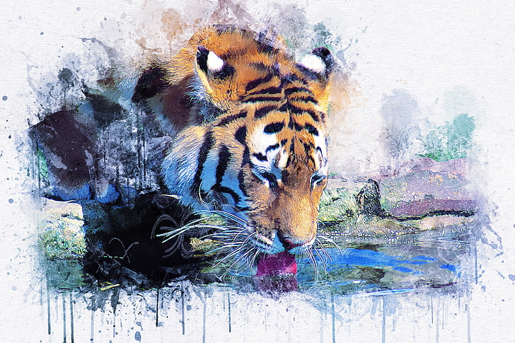 tygrys, obraz, akwarela, malarstwo, Tapety HD