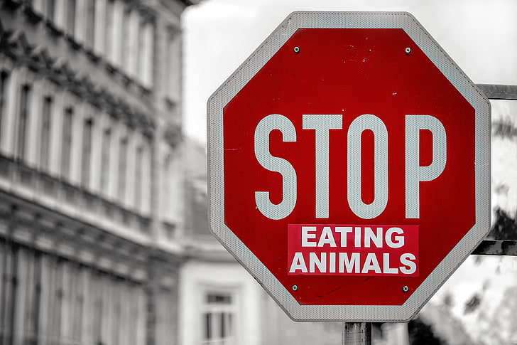 stop eating animal road signage, vegetarianism, vegan, inscription, motivation, HD wallpaper