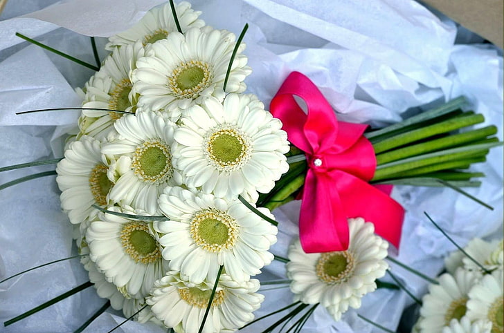 buket bunga daisy Gerbera putih, gerbera, bunga, buket, putih, busur, indah, Wallpaper HD