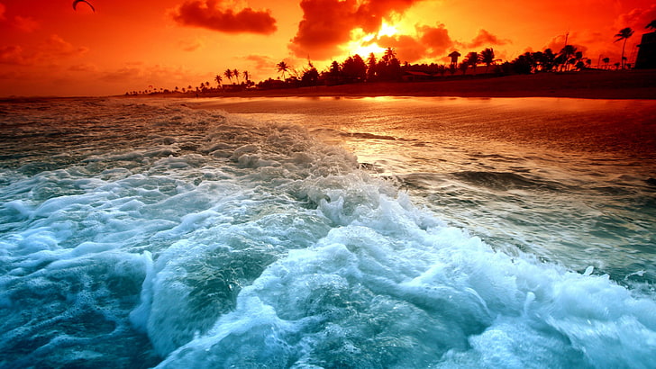 sea, wave, water, ocean, sky, shore, wind wave, horizon, foam, photography, beach, coast, calm, sunset, seashore, HD wallpaper