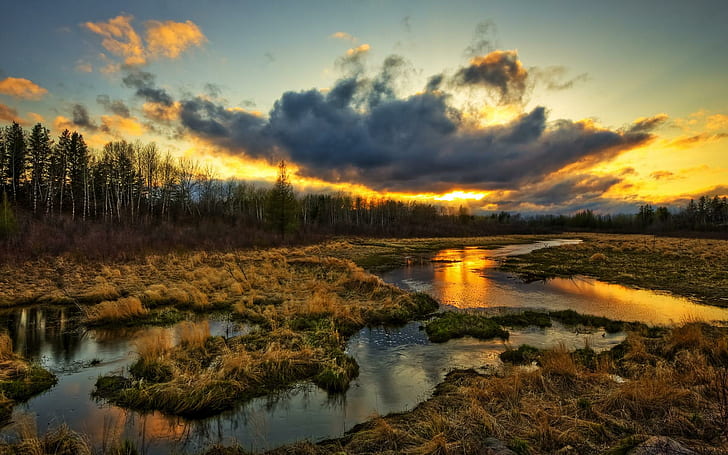 Puesta de sol en el pantano, pantano, corriente, color, hierba, puesta de sol, bosque, creelk, colorido, río, nubes, 3d y abstracto, Fondo de pantalla HD