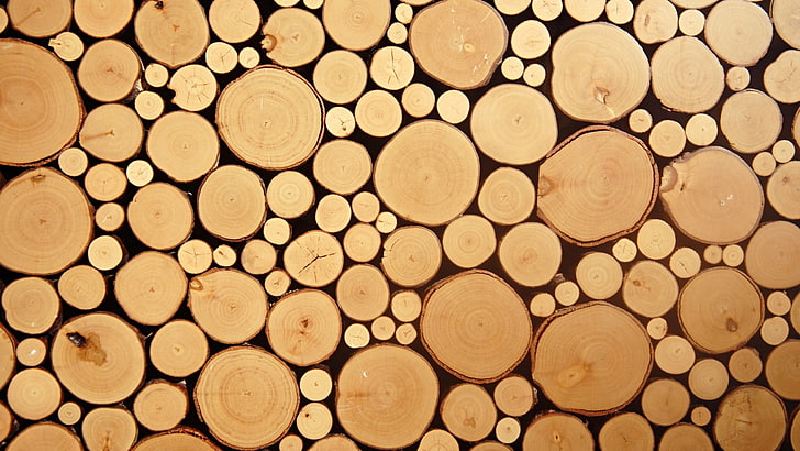 pile of woods wallpaper, nature, texture, wood, circle, photography, simple, simplicity, HD wallpaper