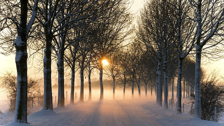 道路、冬、経路、木、日没、 HDデスクトップの壁紙