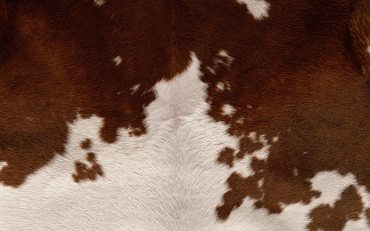 brown and white animal pelt, wool, fur, smooth, spotted, HD wallpaper