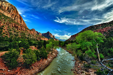 USA, Zion National Park, Utah, USA, river, Utah, stones, cliffs, bushes, gorge, Zion National Park, HD wallpaper HD wallpaper