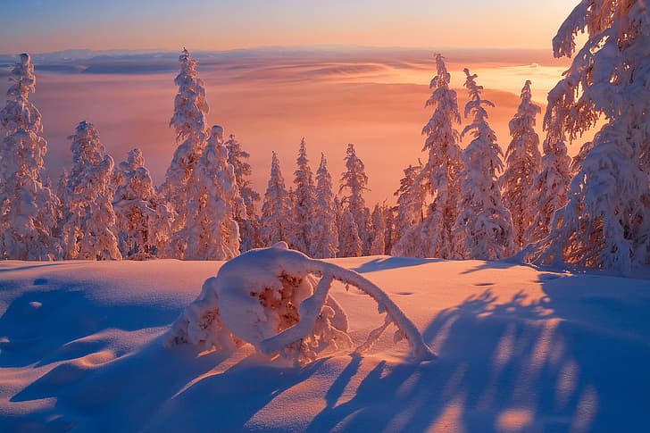 겨울, 빛, 눈, 서리, 감기, 시베리아, 사하 공화국, 야쿠 티아, 마이너스 57, HD 배경 화면