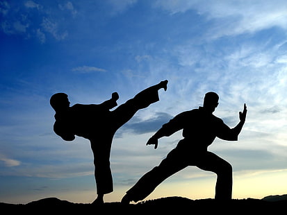 силуэт фото мужчин, занимающихся каратэ, небо, спорт, битва, обои, тени, удар, бойцы, бой, силуэт, боевые искусства, каратэ, HD обои HD wallpaper