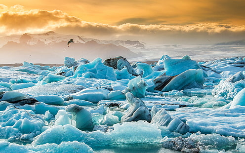bidang es, jokulsarlon islandia, laguna gletser, es mengapung, danau, Wallpaper HD HD wallpaper