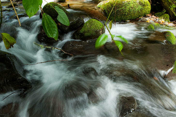 time lapse photo of water on the river flowing, DSC, jpg, time lapse, photo, water, river, bukidnon, landscape, mindanao, nature, philippines, waterfall, stream, forest, outdoors, freshness, rock - Object, green Color, moss, flowing Water, leaf, wet, scenics, tree, flowing, HD wallpaper