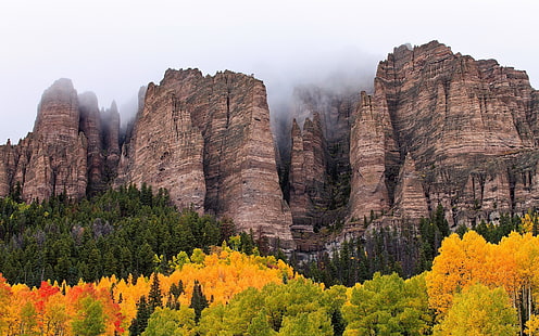 árbol de hojas verdes, montañas, bosque, roca, acantilado, niebla, naturaleza, paisaje, árboles, otoño, nubes, Fondo de pantalla HD HD wallpaper