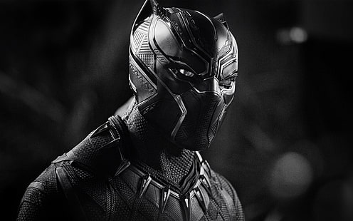 Black Panther 4K HD Movie, Black Panther, HD wallpaper HD wallpaper