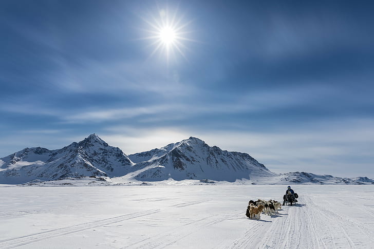 mountains covered snow under blue sky at daytime, lots, space, dogsledding, covered, snow, blue sky, daytime, Kulusuk, Sermersooq, Greenland, Canon  EOS  5D, cold, landscape, dog, dogs, mountain, fjord, sea  ice, inuit, sunny, expedition, adventure, winter, nature, european Alps, outdoors, blue, sport, sky, cold - Temperature, season, skiing, scenics, HD wallpaper