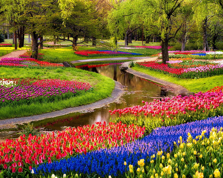 Piękny wiosenny ogród, różne kolory tulipanowy ogród kwiatowy, pory roku, wiosna, natura, kolorowe, tulipany, kwiat, festiwal, kwiaty, drzewa, woda, japonia, tokio, potok, lawenda, odbicie, tokyoprefecture, showa, flowerfestival, kinen, showakinen , tachikawashi, Tapety HD
