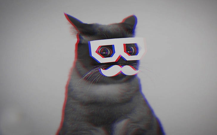 Katze Schnurrbart Anaglyphe 3d Skifcha, HD-Hintergrundbild