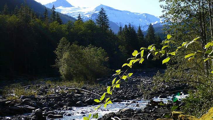 Glacier Creek Mount Baker, вода, лес, гора, деревья, ручей, широкоформатный, ручей, вашингтон, 3d и аннотация, HD обои