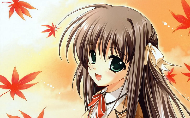 Really Really beautiful HD Anime wallpaper 01, brown haired female illustration, HD wallpaper