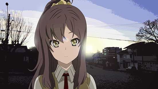 Anime, Rascal träumt nicht von Bunny Girl Senpai, Rio Futaba, HD-Hintergrundbild HD wallpaper