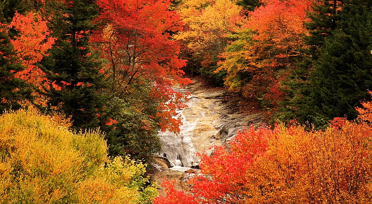 Blue Ridge Parkway, Kuzey Carolina, Sonbahar, kırmızı, sarı ve yeşil ağaçlar, Amerika Birleşik Devletleri, Diğerleri, Mavi, Sonbahar, Kuzey, sırt, blue ridge parkway, kuzey carolina, HD masaüstü duvar kağıdı