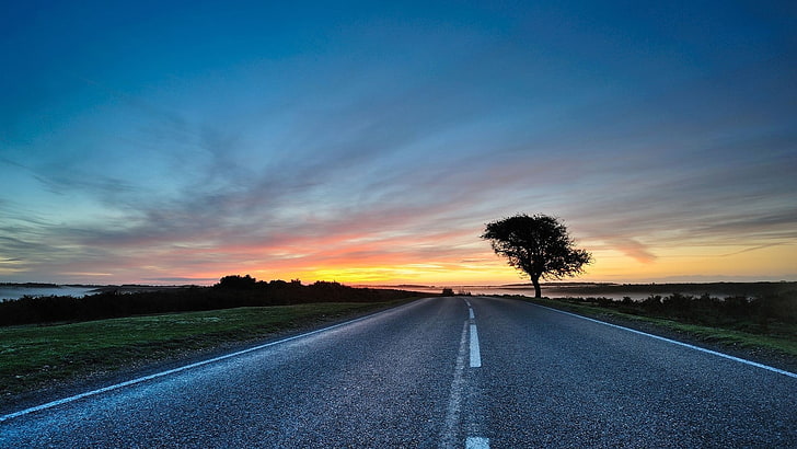 empty road beside tree, street, trees, road, landscape, sunlight, sky, clouds, sunset, calm, HD wallpaper