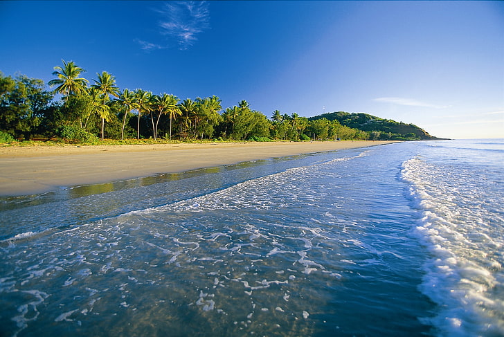 Playa de arena blanca, playa, trópicos, mar, arena, palmeras, espuma, Fondo de pantalla HD