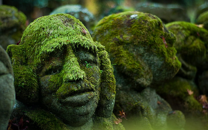 Steine, Gesicht, Moos, Skulptur, HD-Hintergrundbild