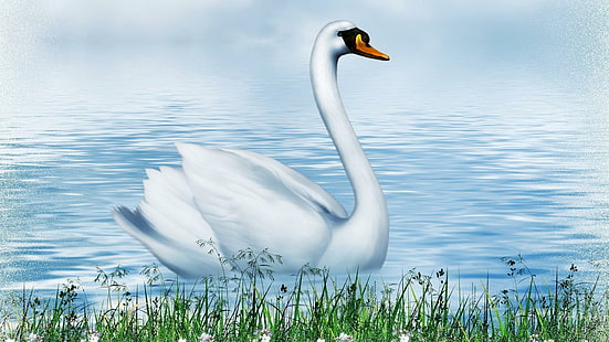 Swan So Fine, lake, grass, pond, bird, flowers, grace, spring, swan, summer, beauty, animals, HD wallpaper HD wallpaper