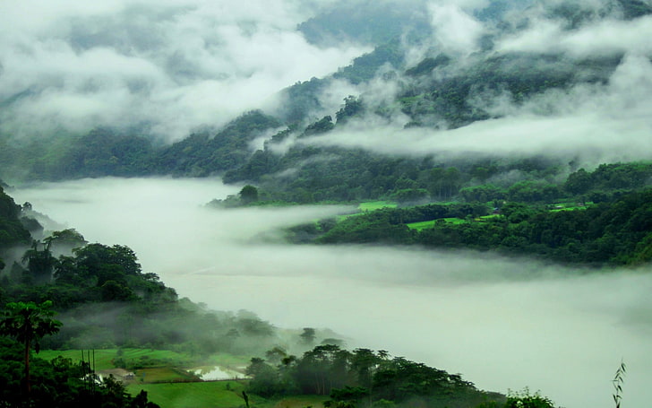 водоем, природа, пейзаж, горы, весна, туман, лес, река, деревья, Индия, HD обои
