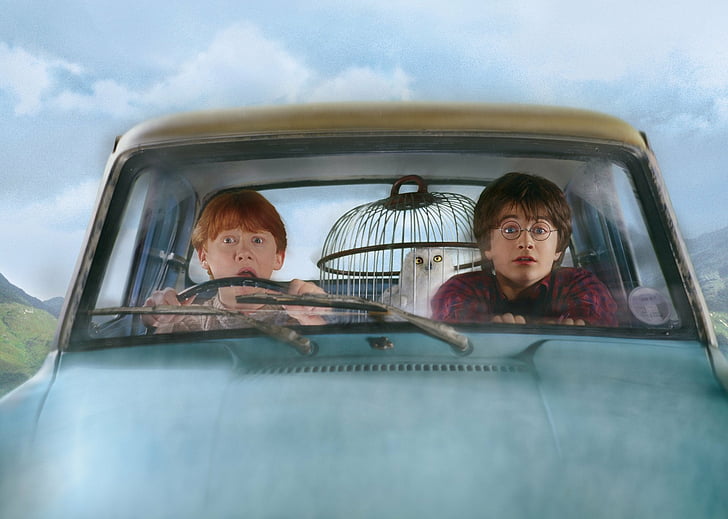 Harry Potter, Harry Potter and the Chamber of Secrets, Daniel Radcliffe, Ron Weasley, Rupert Grint, HD wallpaper