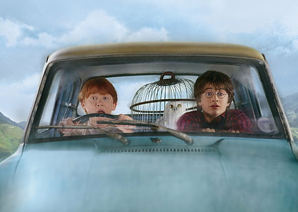 Harry Potter, Harry Potter und die Kammer der Geheimnisse, Daniel Radcliffe, Ron Weasley, Rupert Grint, HD-Hintergrundbild HD wallpaper